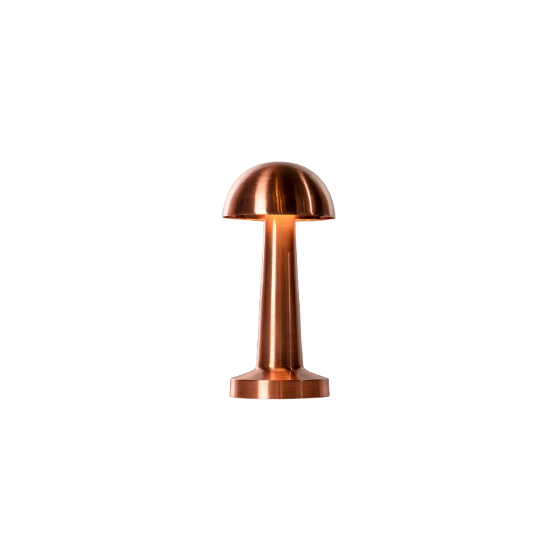 سایر محصولات